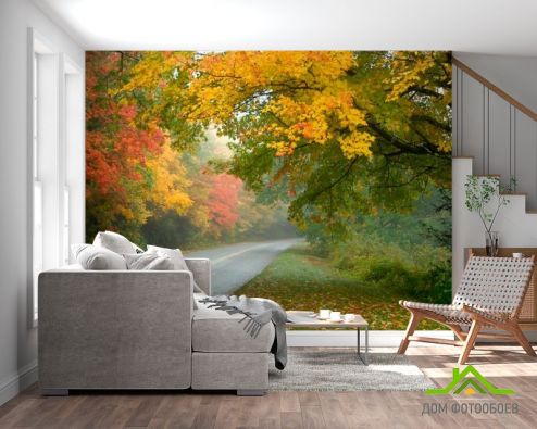 выбрать Фотообои Деревья над дорогой Фотообои Фотообои Природа - Осень, зелений, зеленый на стену
