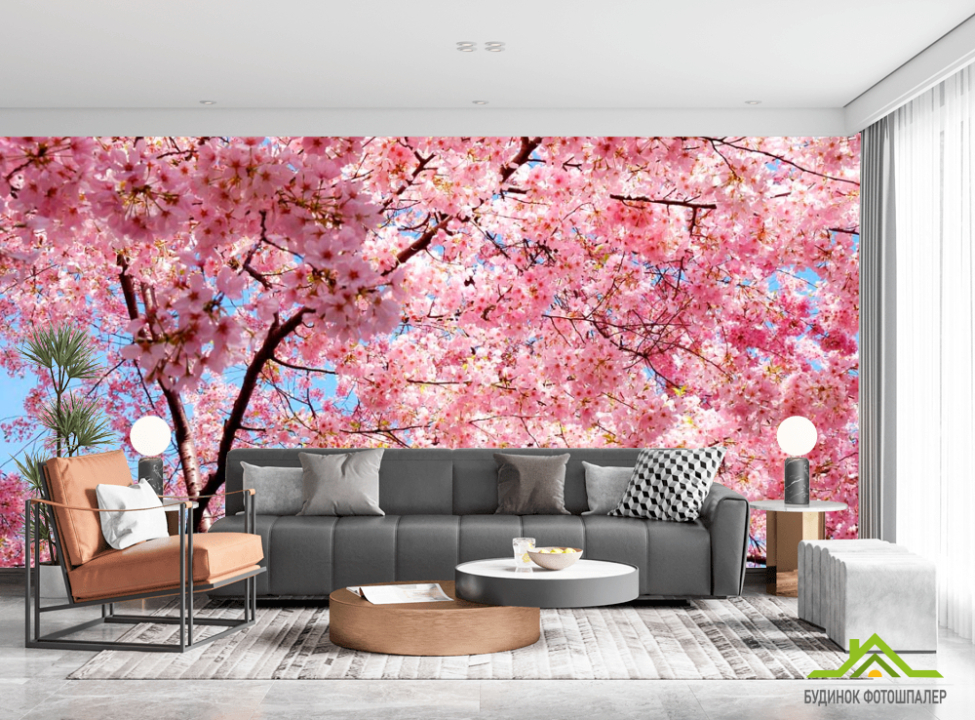 выбрать Фотошпалери Сакура розквітла Каталог фотошпалер на стіну