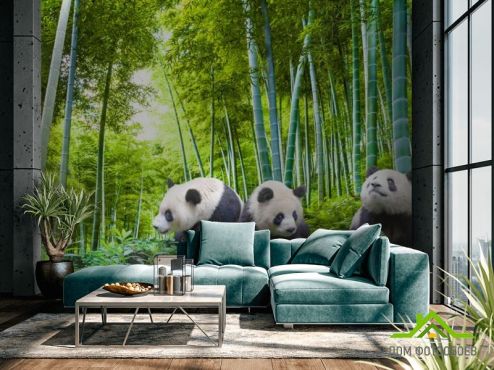 выбрать Фотообои Панды в бамбуке  на стену
