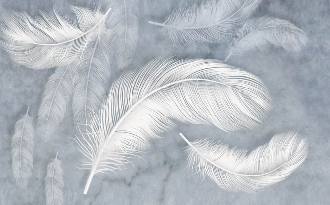 Фотообои Воздушные перья