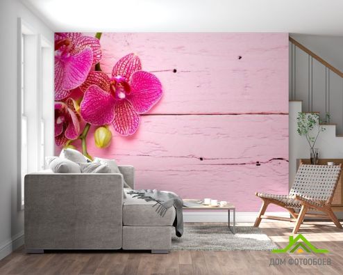 выбрать Фотошпалери Рожева орхідея Фотошпалери Фотошпалери Квіти: картинка  на стіну