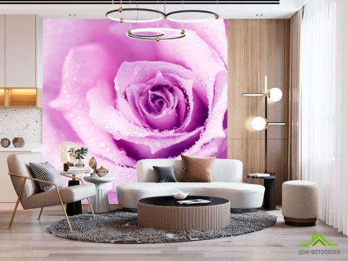 выбрать Фотошпалери Троянда Фотошпалери Фотошпалери Квіти: квадратна, рожевий орієнтація на стіну