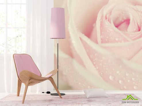 выбрать Фотообои Капли росы на розе Фотообои Розы на стену