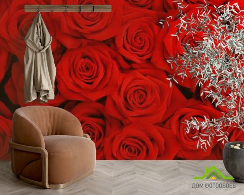 выбрать Фотошпалери Троянди яскраво-червоні Фотошпалери Фотошпалери Квіти: фото  на стіну
