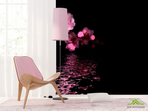 выбрать Фотошпалери Рожеві квіти персика Чорні фотошпалери на стіну