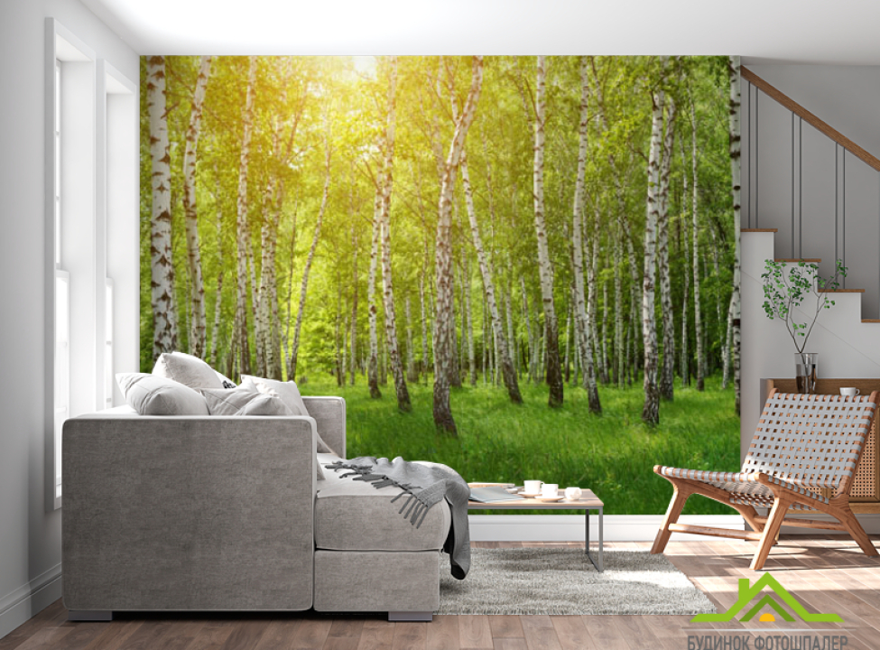 выбрать Фотошпалери Березовий гай Каталог фотошпалер на стіну