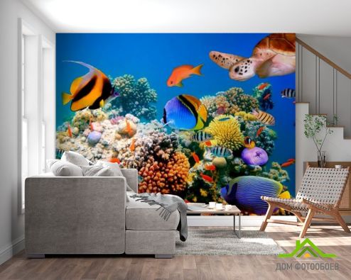 выбрать Фотообои Множество рыб Фотообои Фотообои Море: горизонталная, горизонтальная, синий ориентация на стену
