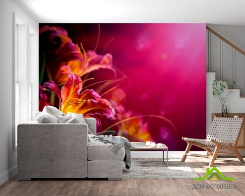 выбрать Фотообои Малиновые лилии Фотообои Фотообои Цветы: фото  на стену