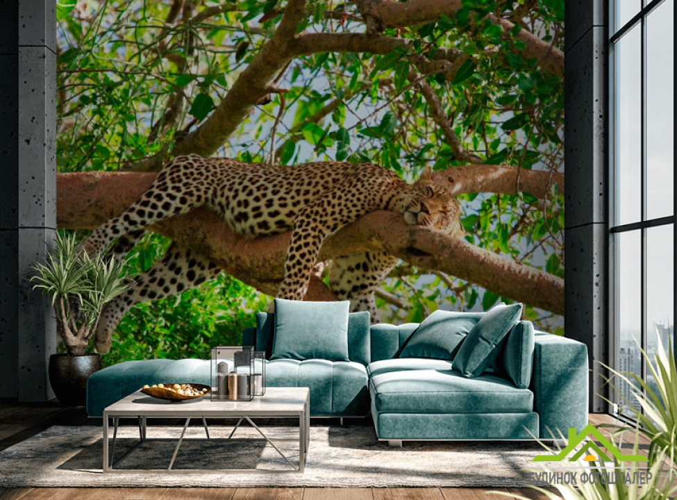 выбрать Фотошпалери Сплячий гепард Каталог фотошпалер на стіну