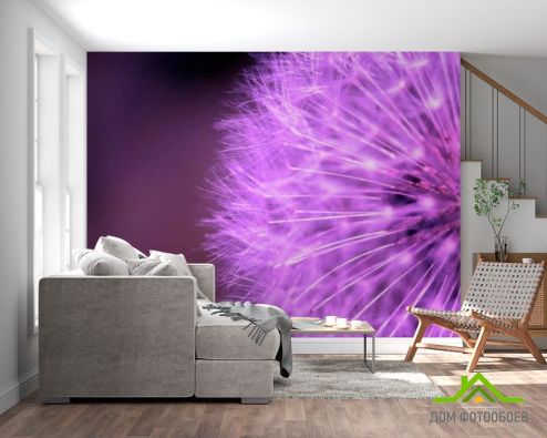 выбрать Фотошпалери Кульбаба бузковий Фотошпалери Фотошпалери Квіти: квадратна, горизонтальна, фіолетовий орієнтація на стіну