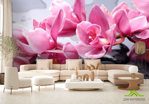 выбрать Фотообои Орхидеи розовые веткой Фотообои Фотообои Цветы: фото, горизонталная, горизонтальная  на стену