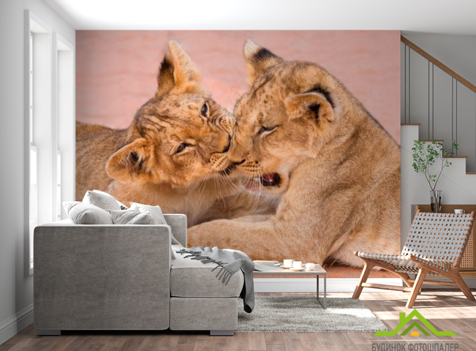 выбрать Фотошпалери Гра тигренят Каталог фотошпалер на стіну