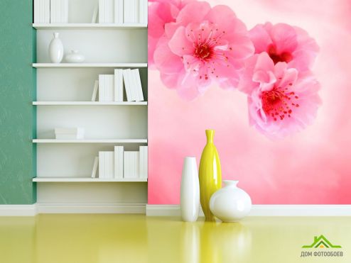 выбрать Фотошпалери Ніжно-рожеві квіти Фотошпалери Квіти на стіну