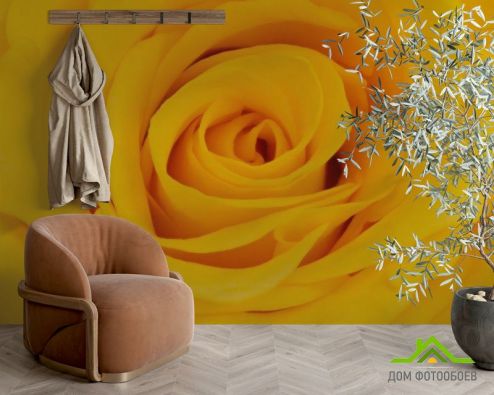 выбрать Фотообои желтая роза Фотообои Розы на стену