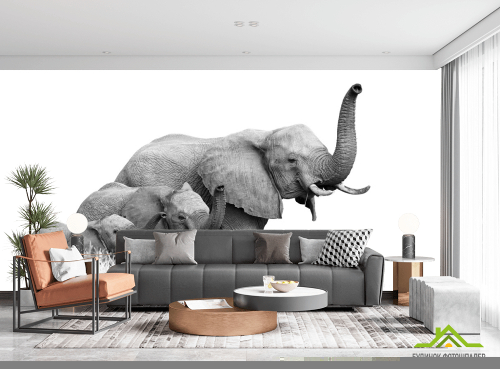 выбрать Фотошпалери сім'я слонів Каталог фотошпалер на стіну