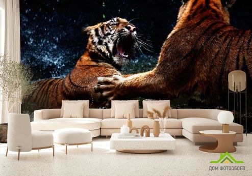 выбрать Фотообои Драка тигров Фотообои Фотообои Животные: горизонталная, горизонтальная ориентация на стену
