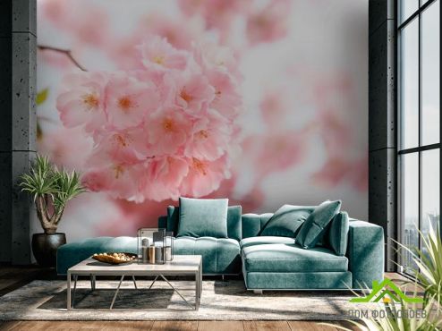 выбрать Фотошпалери Вишня цвіте Фотошпалери Фотошпалери Квіти: фото, рожевий  на стіну