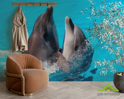 выбрать Фотообои Два дельфина Голубые фотообои на стену