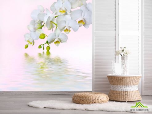 выбрать Фотошпалери Гілочка білих квітів Фотошпалери Квіти на стіну