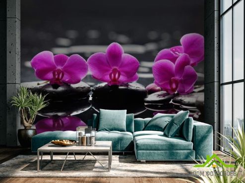 выбрать Фотошпалери Орхідеї малинового кольору  на стіну