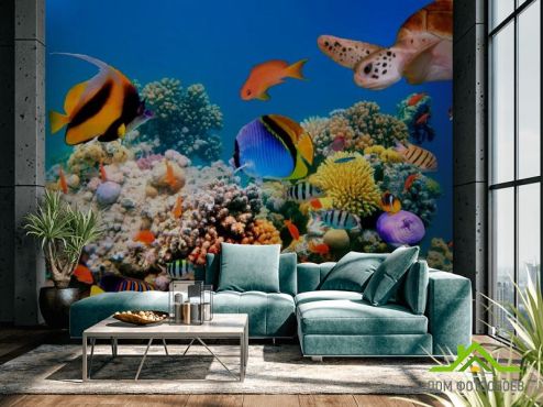 выбрать Фотошпалери Безліч риб Фотошпалери Риби і море на стіну