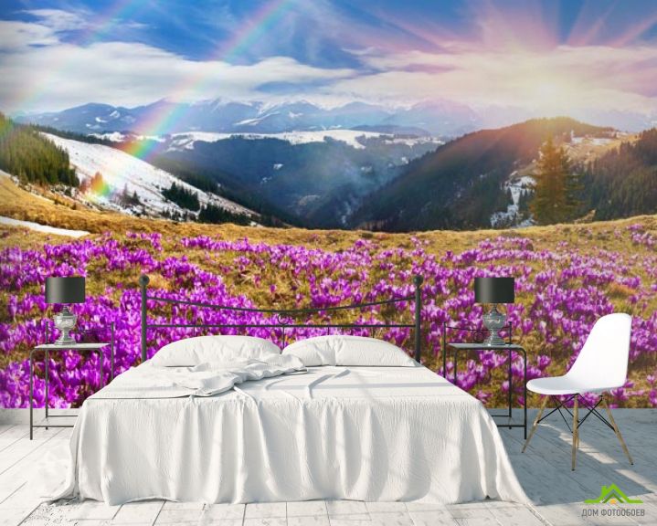 Фотообои поляна с сиреневыми цветами в горах