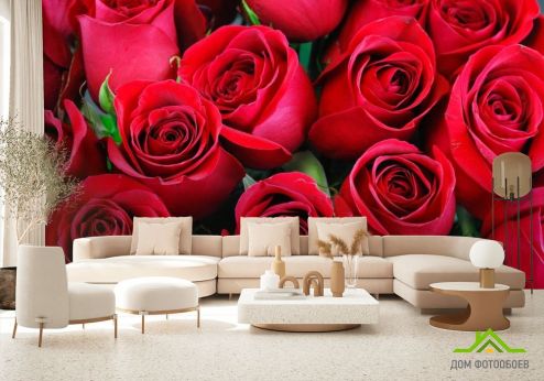 выбрать Фотообои красные розы Фотообои Фотообои Цветы: горизонталная, горизонтальная ориентация на стену