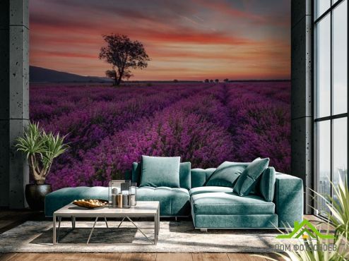 выбрать Фотообои сиреневое поле и розовый закат Фотообои, цвет: «» на стену