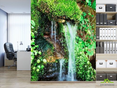 выбрать Фотообои Маленький ручей Зеленые фотообои на стену