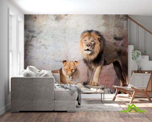 выбрать Фотообои Семейство львов Фотообои Фотообои Животные: горизонталная, горизонтальная ориентация на стену
