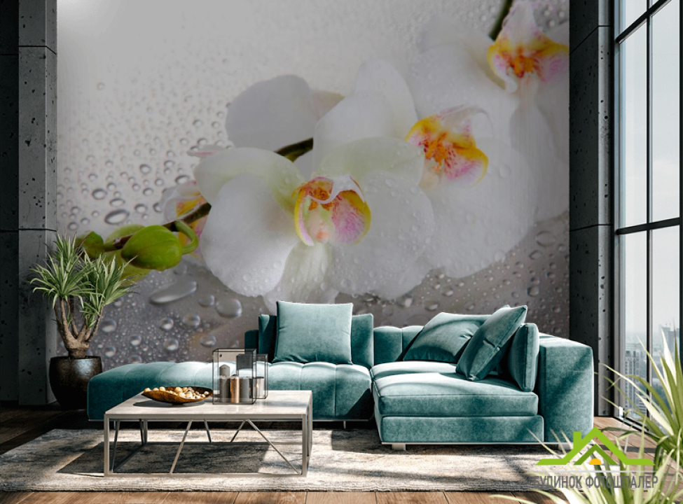 выбрать Фотообои Три белые орхидеи Каталог фотообоев на стену