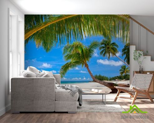 выбрать Фотообои Пляж в пальмах Зеленые фотообои на стену