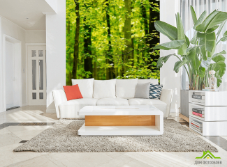 5 ідей використання 3д фотошпалер в сучасних інтер'єрах