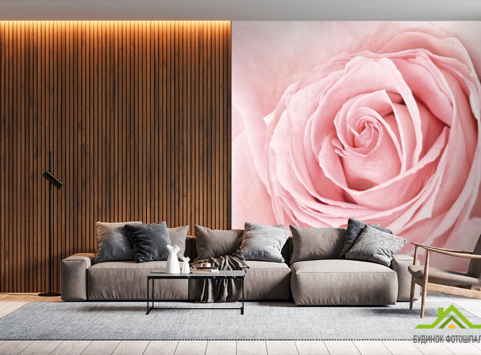 выбрать Фотообои розовая роза Каталог фотообоев на стену