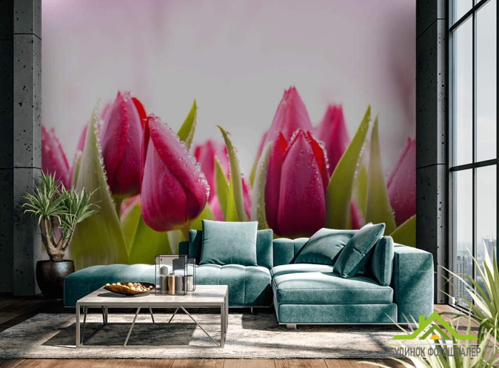 выбрать Фотошпалери Рожеві тюльпани Каталог фотошпалер на стіну