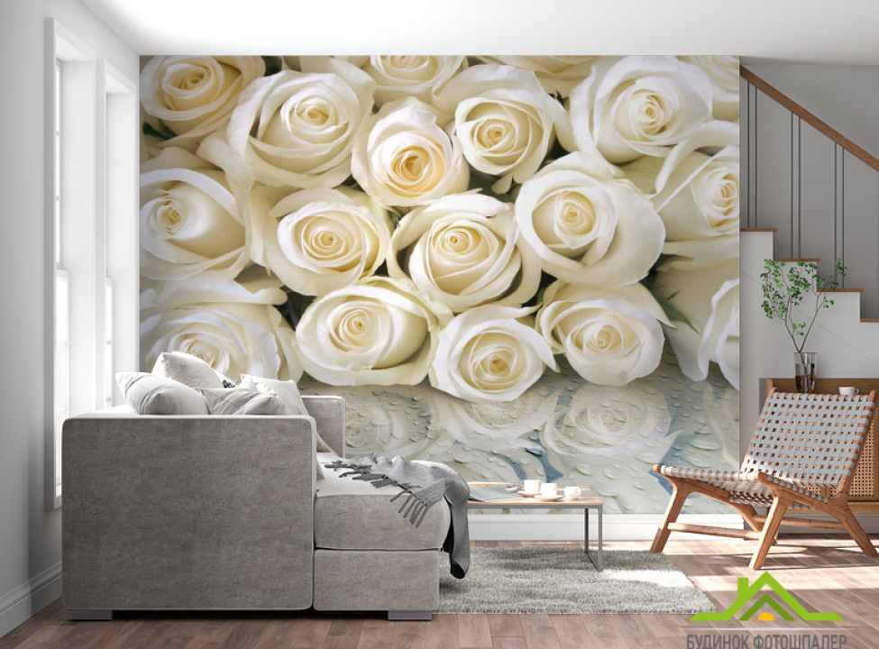 выбрать Фотообои Белые розы с росой Каталог фотообоев на стену