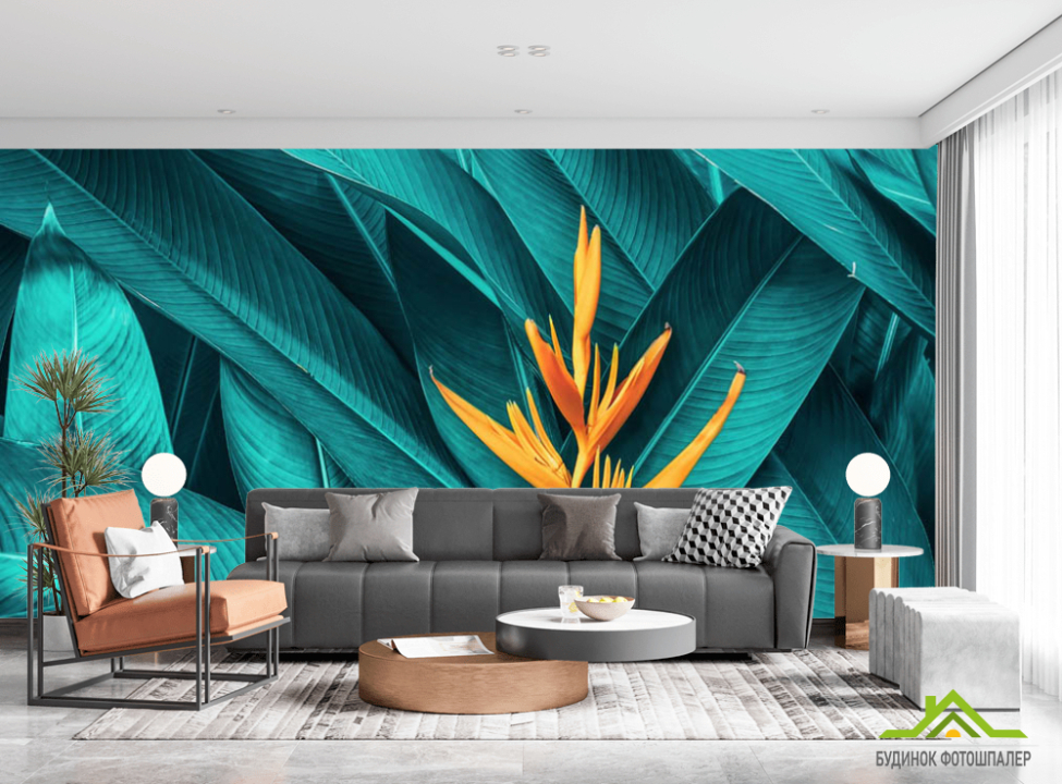 выбрать Фотошпалери яскрава Стреліція Каталог фотошпалер на стіну