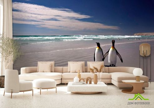 выбрать Фотообои Пингвины на берегу Фотообои Фотообои Птицы : горизонталная, горизонтальная ориентация на стену