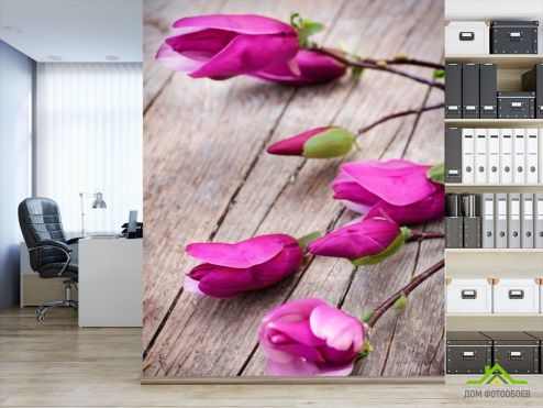 выбрать Фотообои Цветок семейства бобовых Фотообои Фотообои Цветы: фото, вертикальная  на стену