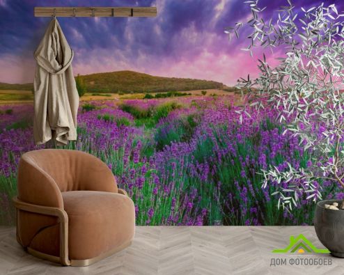 выбрать Фотообои Лавандовое поле Фотообои Фотообои Природа: горизонталная, горизонтальная, фиолетовый ориентация на стену
