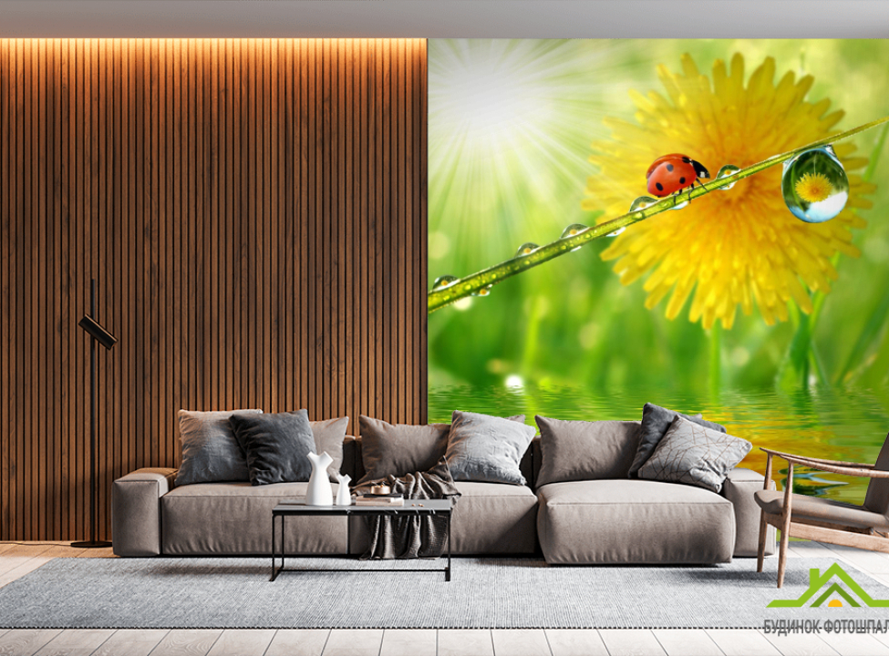 выбрать Фотошпалери божа корівка на аркушику Каталог фотошпалер на стіну