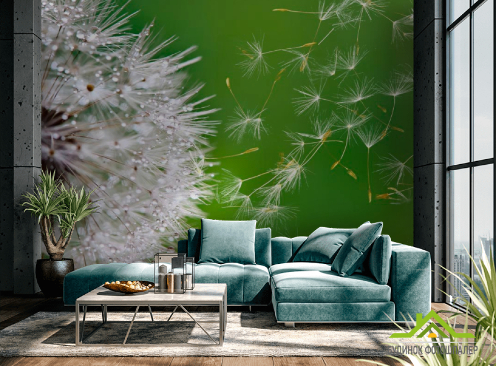 выбрать Фотошпалери Кульбаба летить Каталог фотошпалер на стіну