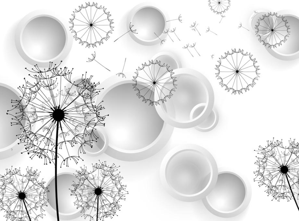 выбрать Фотообои Векторные 3д одуванчики Каталог фотообоев на стену