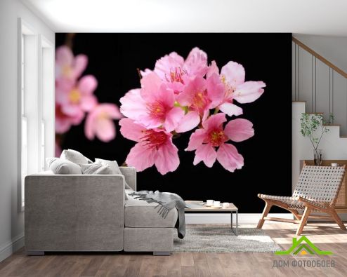 выбрать Фотообои Розовые персиковые цветы Фотообои Фотообои Цветы: фото, горизонталная, горизонтальная  на стену
