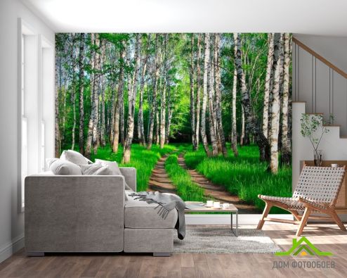 выбрать Фотообои Дорога, березки, лес Зеленые фотообои на стену