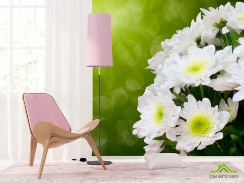 выбрать Фотошпалери Білосніжні квіти Фотошпалери Фотошпалери Квіти: зелений, зелений на стіну