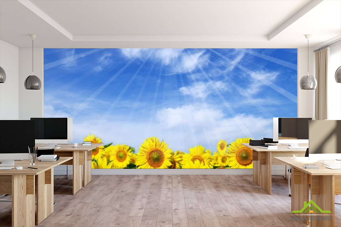 Фотообои в школу