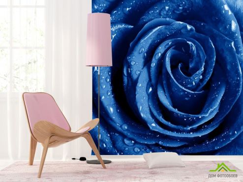 выбрать Фотообои синяя роза с каплями Фотообои Цветы на стену