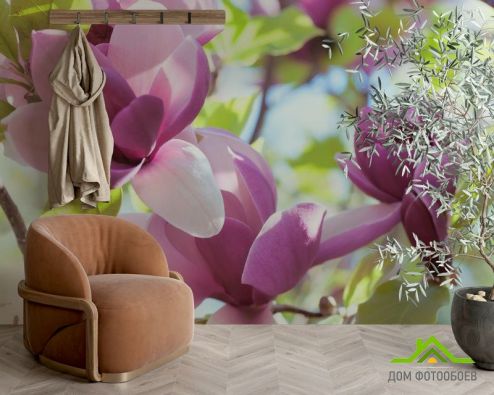 выбрать Фотошпалери біло-фіолетові квіти на дереві Фотошпалери, колір: «» на стіну