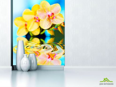 выбрать Фотообои Желтые орхидеи Фотообои Фотообои Цветы: фото, голубой  на стену